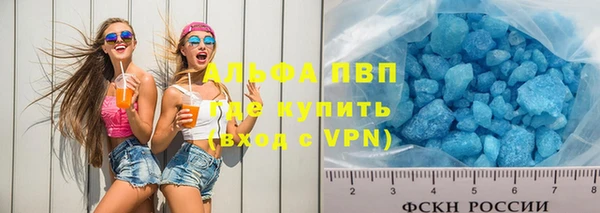 spice Аркадак