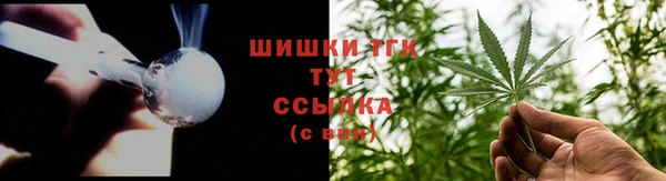 spice Аркадак