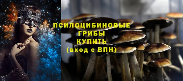 винт Арсеньев