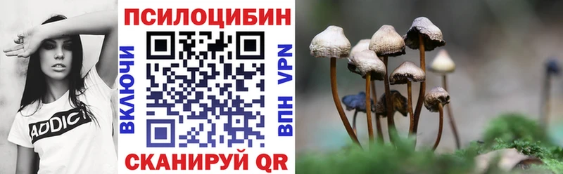 закладки  Макушино  ОМГ ОМГ как зайти  Галлюциногенные грибы Cubensis 